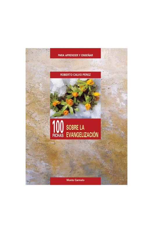 100 Fichas sobre la Evangelización